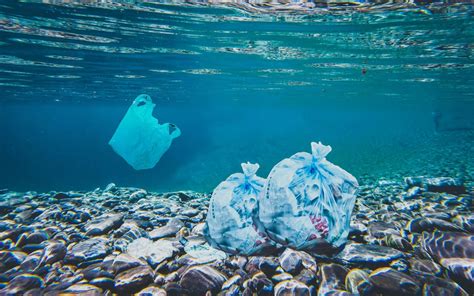 Ocean Conservancy Summit: Envisioning a Future Free From Plastic Pollution For Vietnamese Coastlines