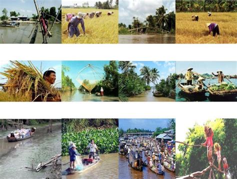 Visions of a Sustainable Future: The 2018 Mekong Delta Climate Resilience Conference and its Impact on Vietnamese Agricultural Practices